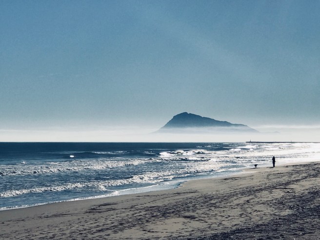 13683EFE-B186-46D9-93F4-61CA973E61F6